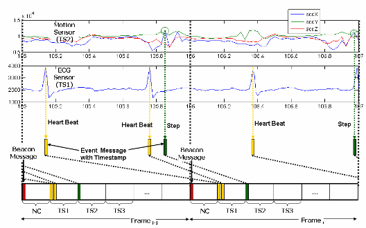 ecg & acc (on knee)